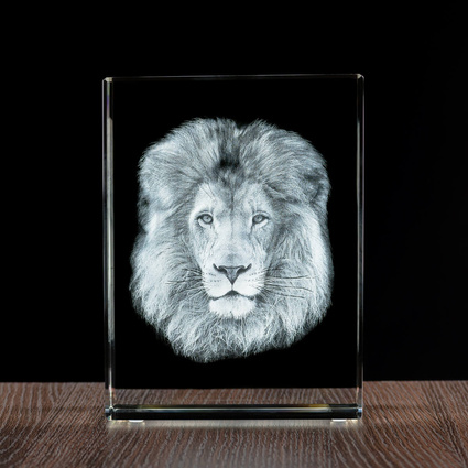 3D commemorative photo - of your pet