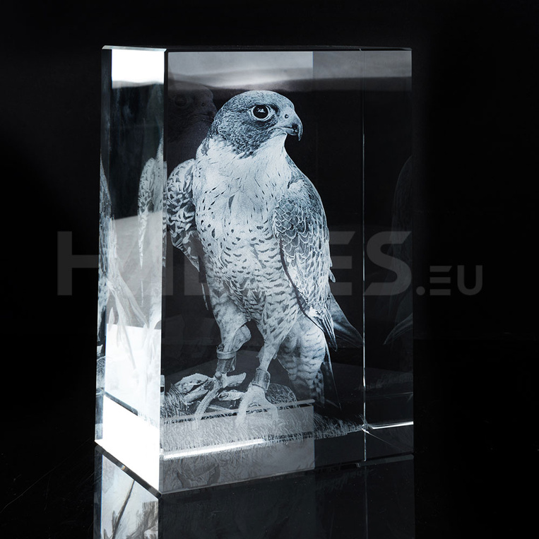 Grawerowane zdjęciem 3D Zwierzaka w szkle - Sokół 3D