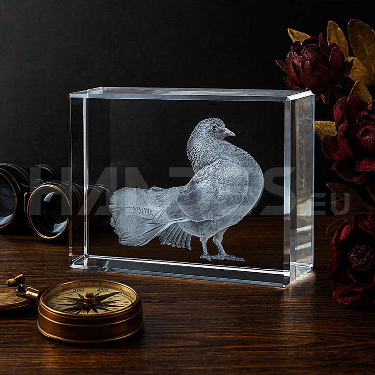 Gołąb 3D - Zdjęcia Twojego zwierzaka 3D w krysztale