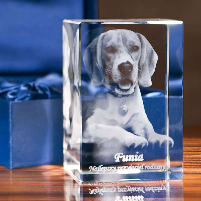 Zdjęcie Twojego pieska w trójwymiarze - grawer w statuetce szklanej