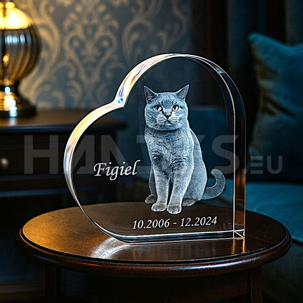 Statuetka 3D ze zdjęciem Twojego kota - pamiątka