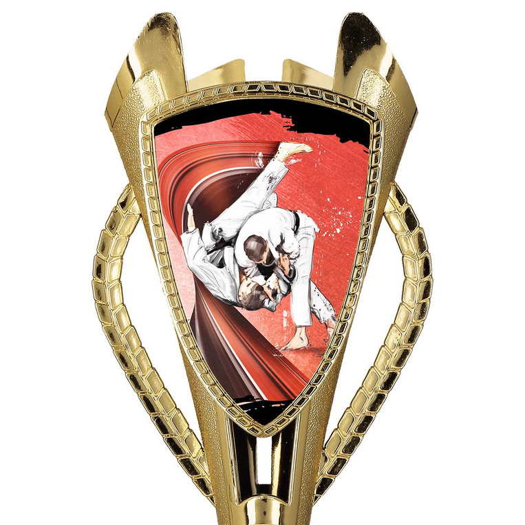 Puchar złoty D - Judo