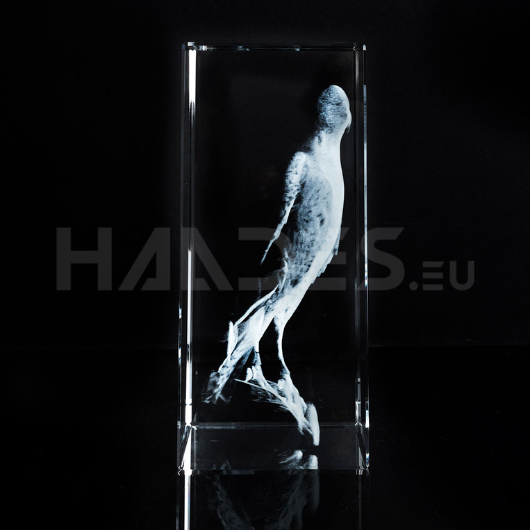 Grawerowane zdjęciem 3D Zwierzaka w szkle - Sokół 3D