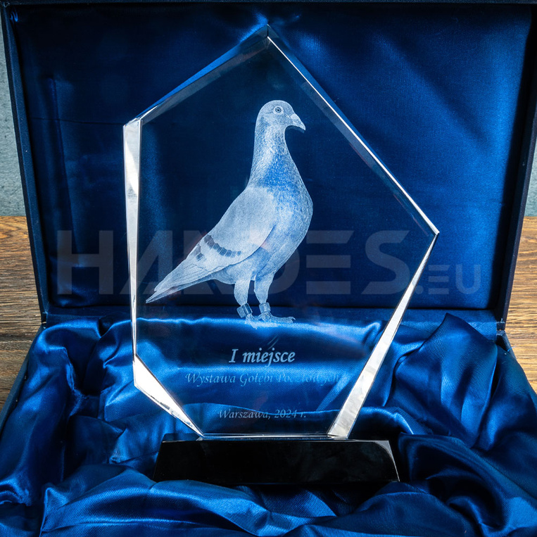 Gołąb pocztowy 3D - fotografia pamiątkowa w szkle