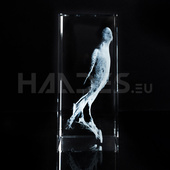 Statuetka KP-13 czysta