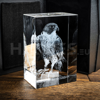 Grawerowane zdjęciem 3D Zwierzaka w szkle - Sokół 3D