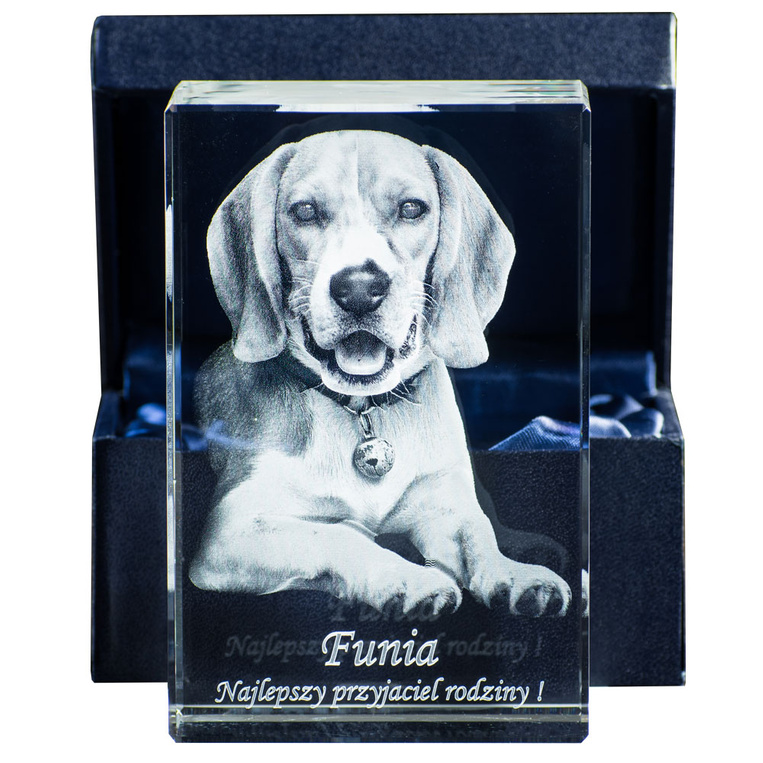 Zdjęcie Twojego pieska - grawer 3D w szkle KP-03 (80x120x80 mm)