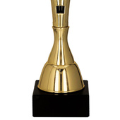 Puchar złoty A - Wędkarstwo amatorskie