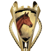 Puchar złoty D - Jeździectwo