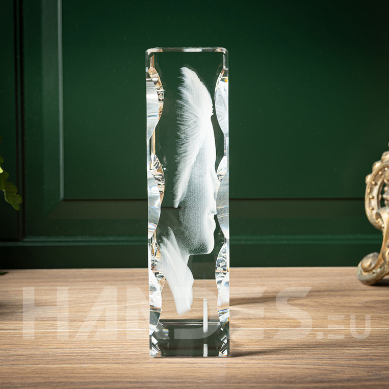 Commemorative photo KL-01: (130x100x30 mm)