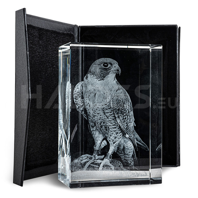 Grawerowane zdjęciem 3D Zwierzaka w szkle - Sokół 3D