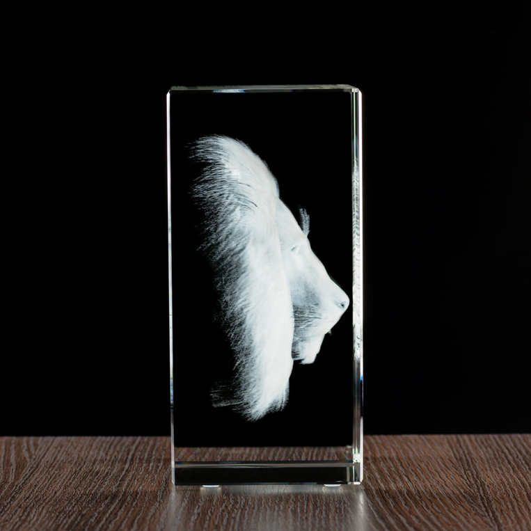 Zdjęcie pamiątkowe 3D - statuetka KP-05 (150x200x100 mm)