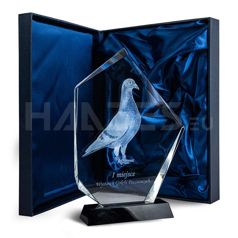 Gołąb pocztowy 3D - fotografia pamiątkowa w szkle