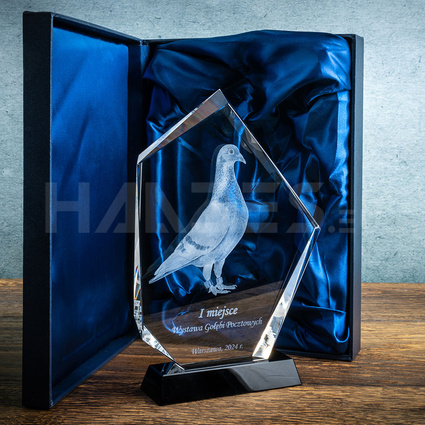 Gołąb pocztowy 3D - fotografia pamiątkowa w szkle