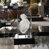 Heart in crystal (150x200x100 mm)